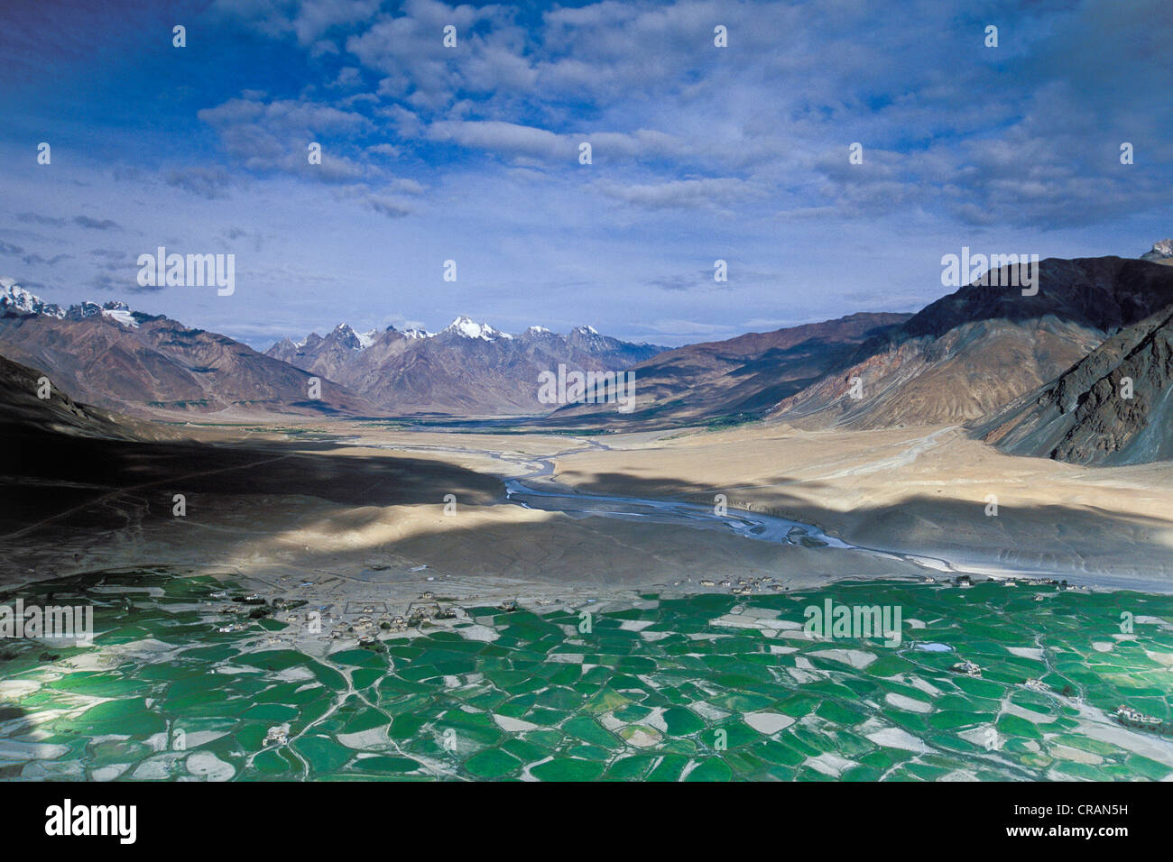 Domaines de Tongde près de Padum, Zanskar, Ladakh, Himalaya indien, le Jammu-et-Cachemire, l'Inde du nord, Inde, Asie Banque D'Images