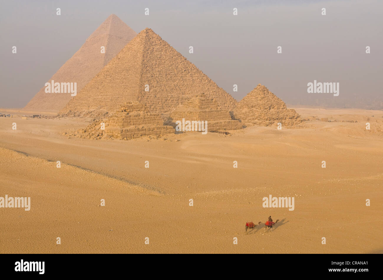 Pyramides de Gizeh, camel rider en face, de l'Égypte, l'Afrique Banque D'Images