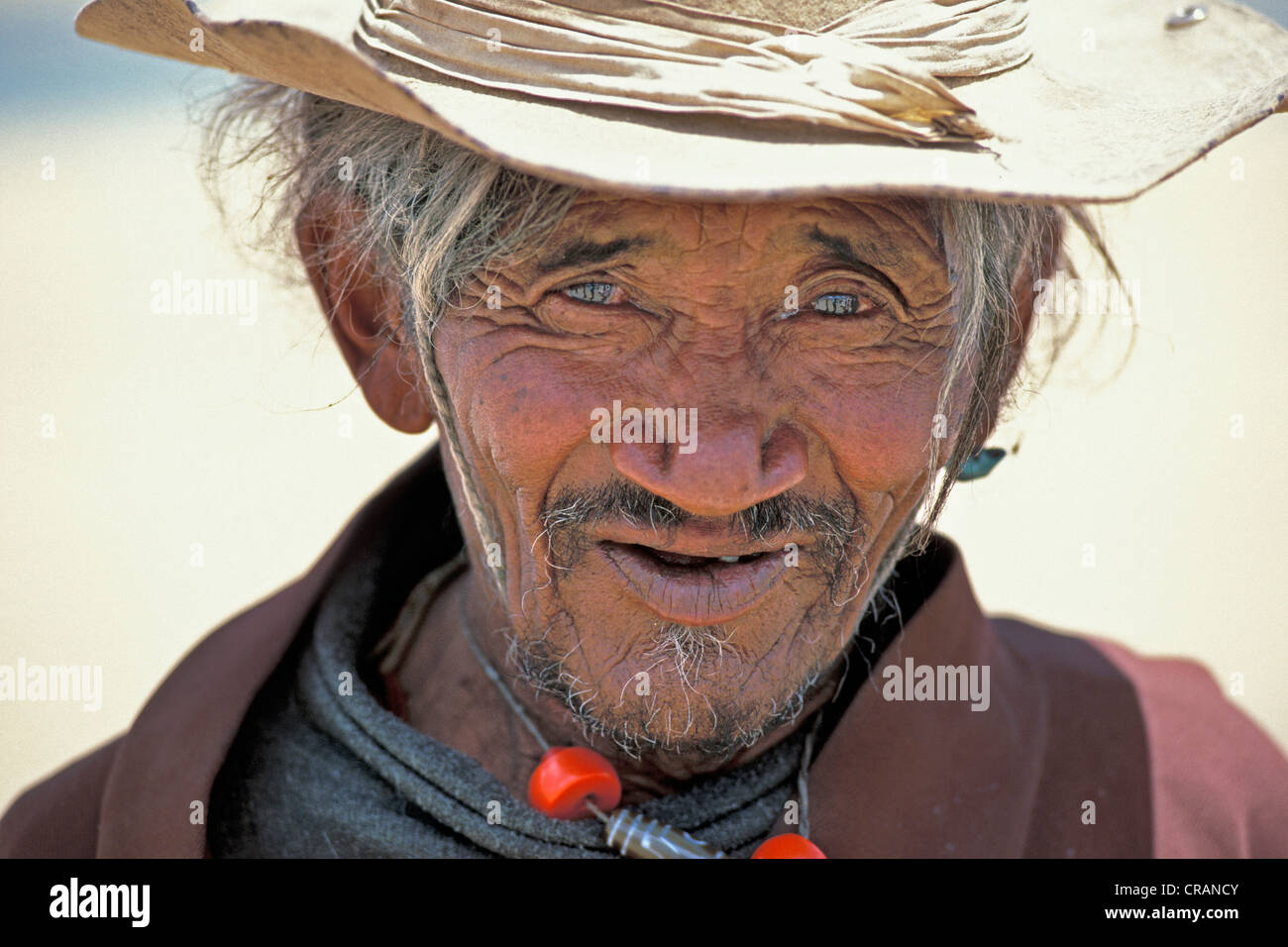 Nomade tibétain, Tazang Tso, Changthang, Ladakh, Himalaya indien, le Jammu-et-Cachemire, l'Inde du nord, Inde, Asie Banque D'Images