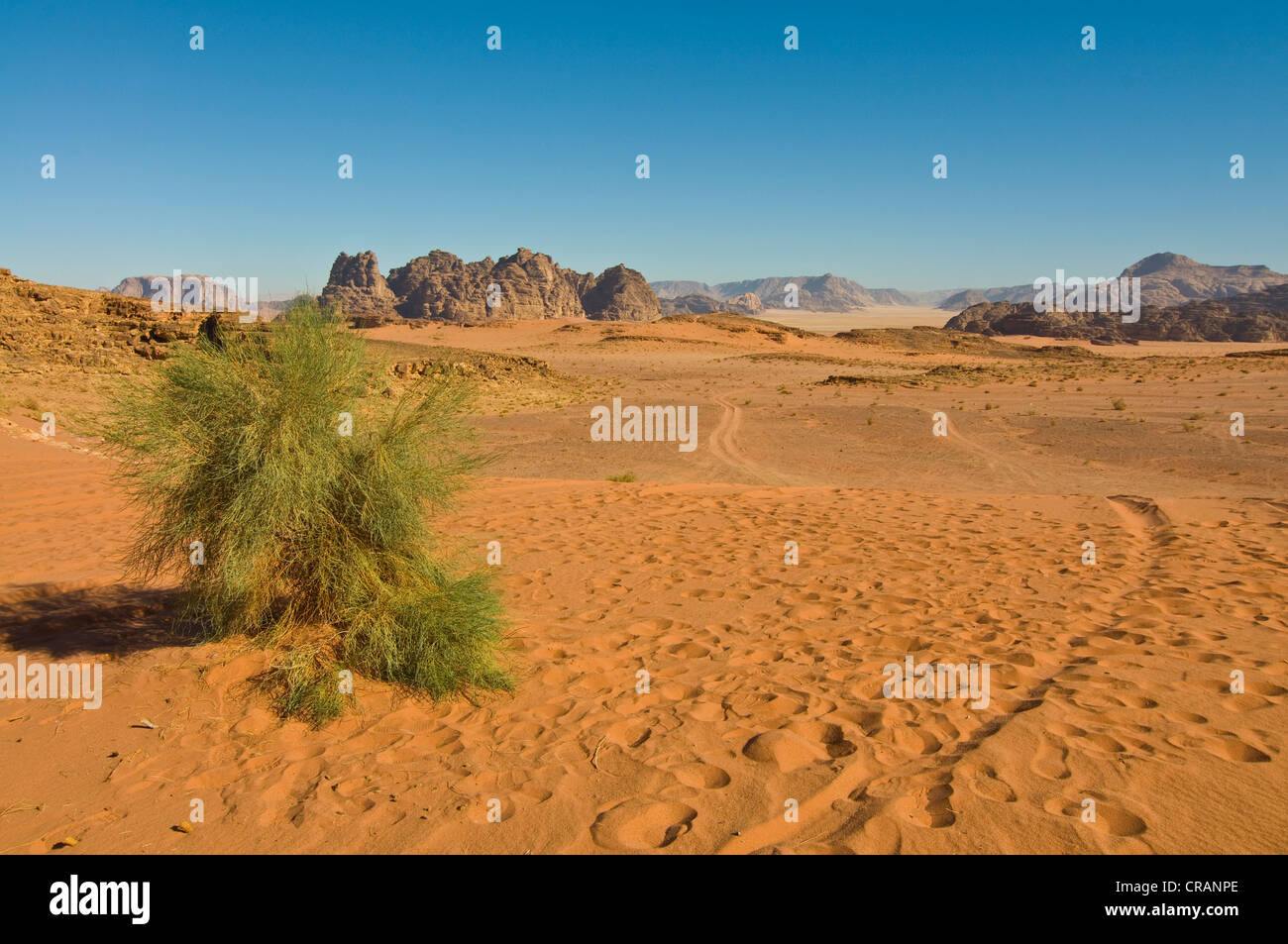 Wadi Rum, désert, montagnes à l'arrière, la Jordanie, Moyen-Orient Banque D'Images