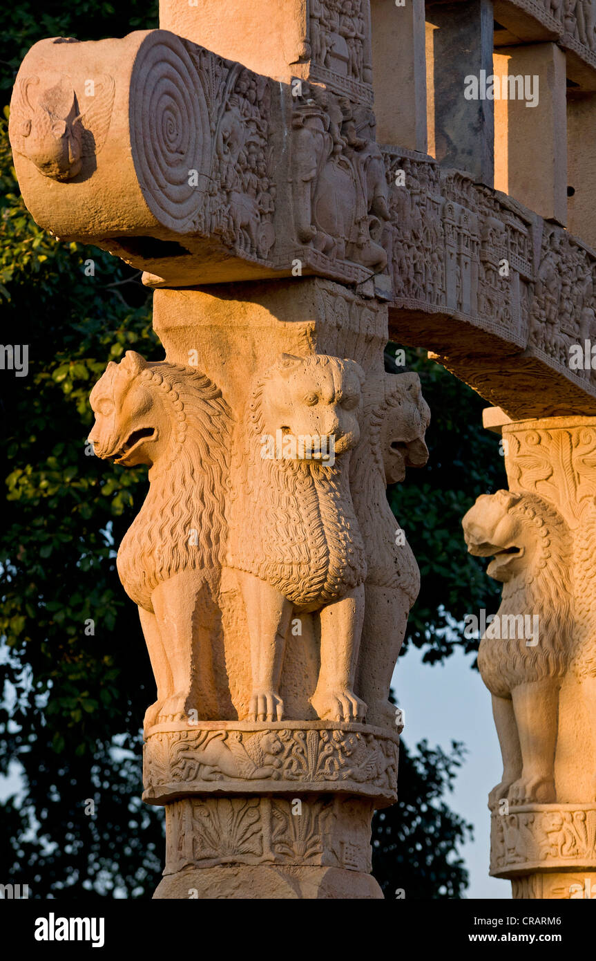 Ashoka, lion capitales, représenté sur les armoiries nationales, les stupas de Sanchi, site du patrimoine mondial de l'UNESCO Banque D'Images