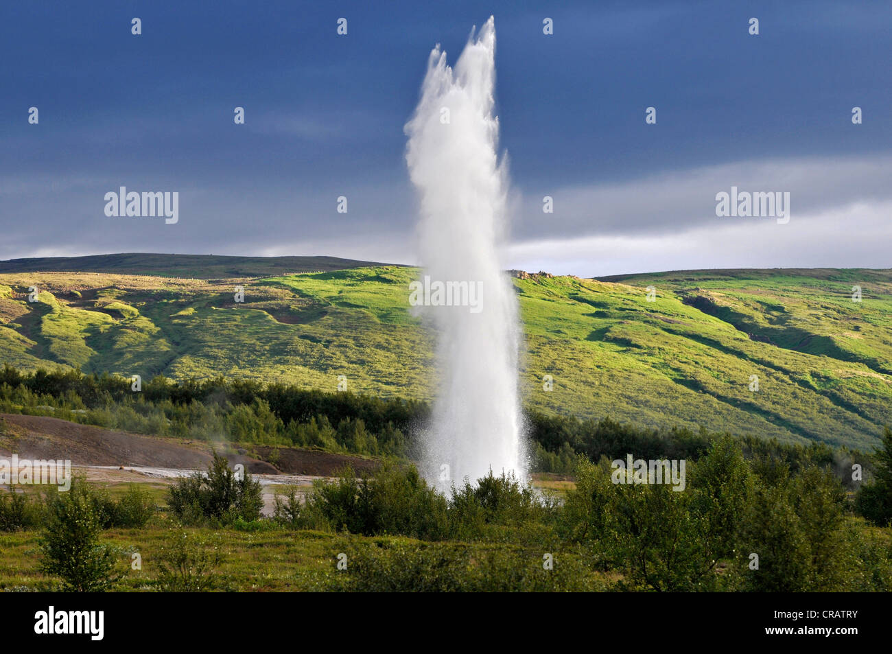 Strokkur Geysir, geyser, vallées de Haukadalur, Islande, Europe Banque D'Images