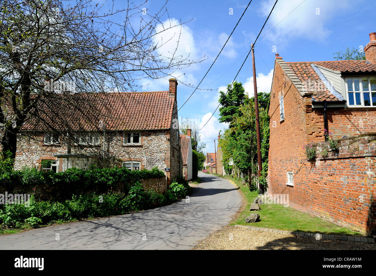 Les maisons construites à l'aide de Norfolk traditionnel en briques et silex et toits de tuiles. Banque D'Images