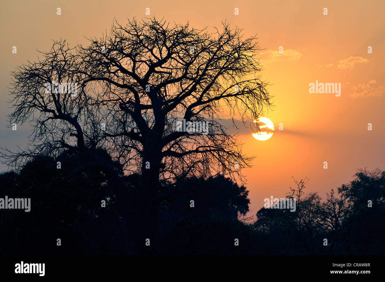 Le coucher du soleil, Mandu, Madhya Pradesh, Inde du nord, l'Asie Banque D'Images