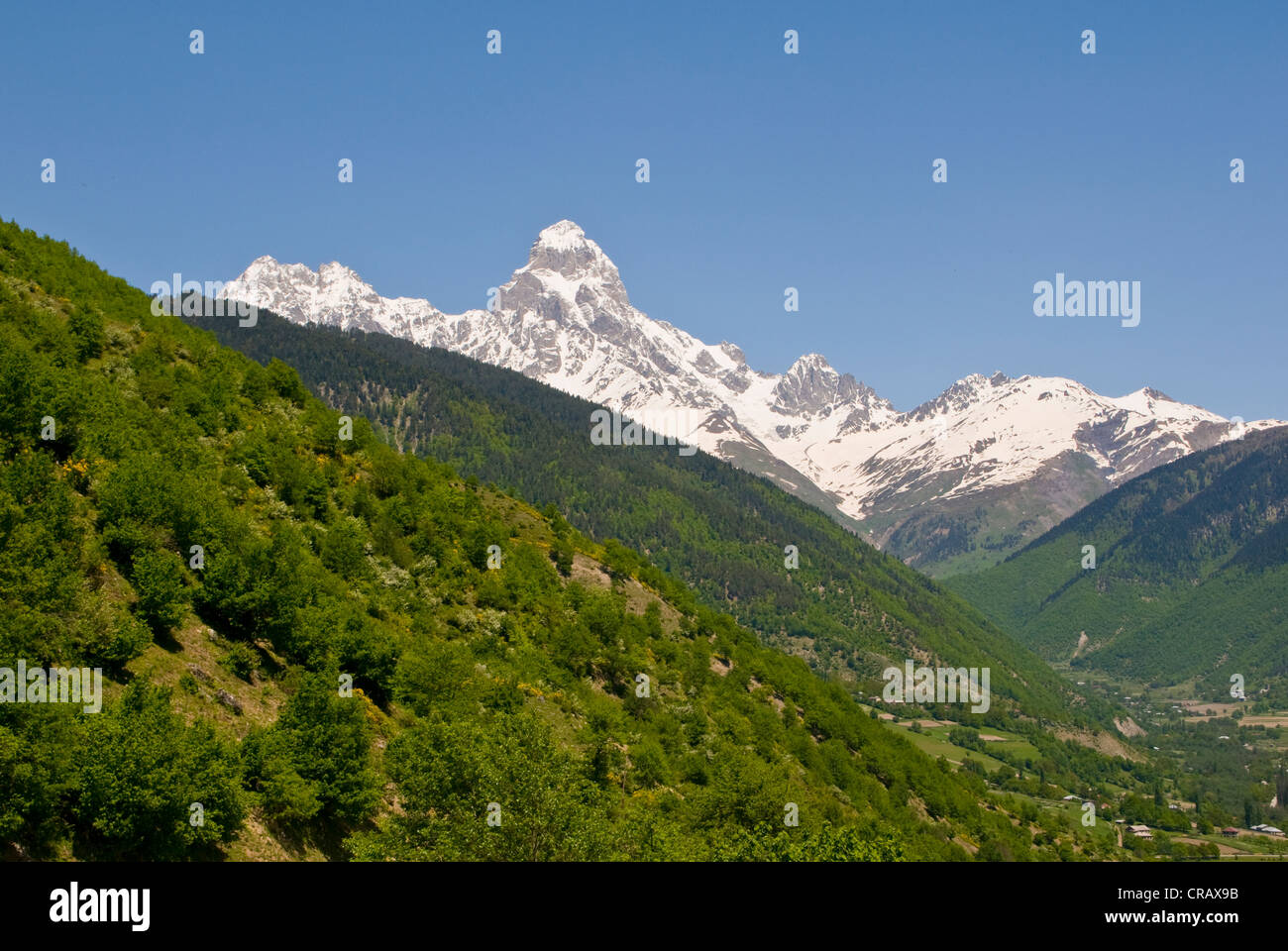 Le mont Ushba, province de Svaneti, Géorgie, au Moyen-Orient Banque D'Images