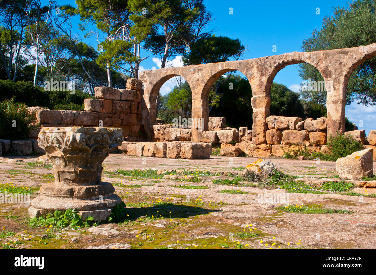 Les ruines romaines de Tipasa, Site du patrimoine mondial de l'UNESCO, l'Algérie, l'Afrique Banque D'Images