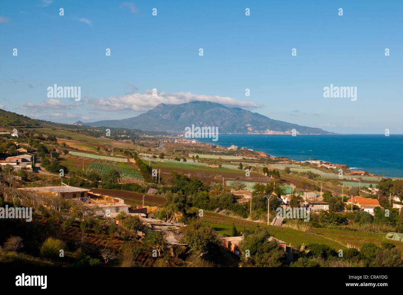 Paysage méditerranéen près de Tipasa, Algérie, Afrique Banque D'Images