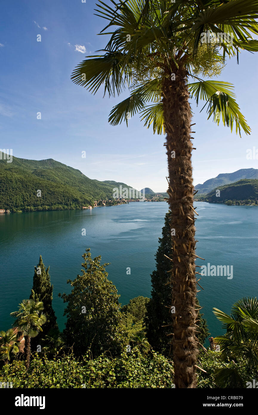 Vue sur le lac de Lugano, le lac Lago di Lugano, près de Lugano, Tessin, Suisse, Europe Banque D'Images