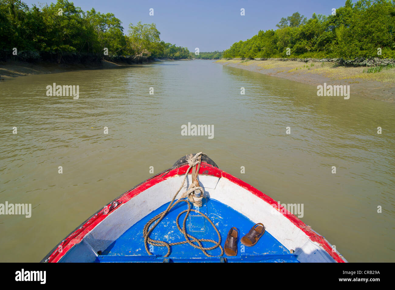 Petit bateau à rames dans les marécages de la Patrimoine Mondial de l'Asie, le Bangladesh, Sundarbans Banque D'Images