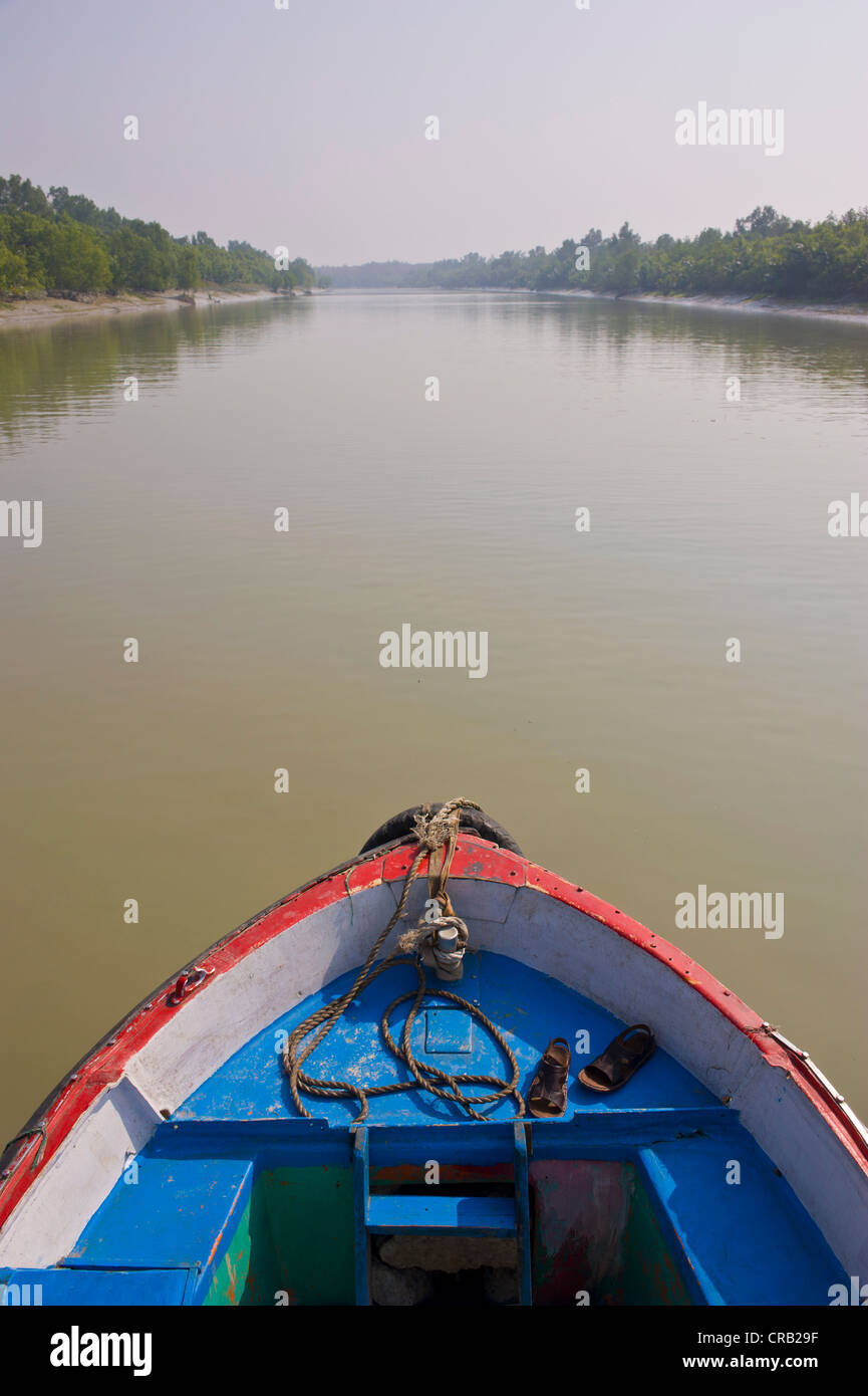 Petit bateau à rames dans les marécages de la Patrimoine Mondial de l'Asie, le Bangladesh, Sundarbans Banque D'Images