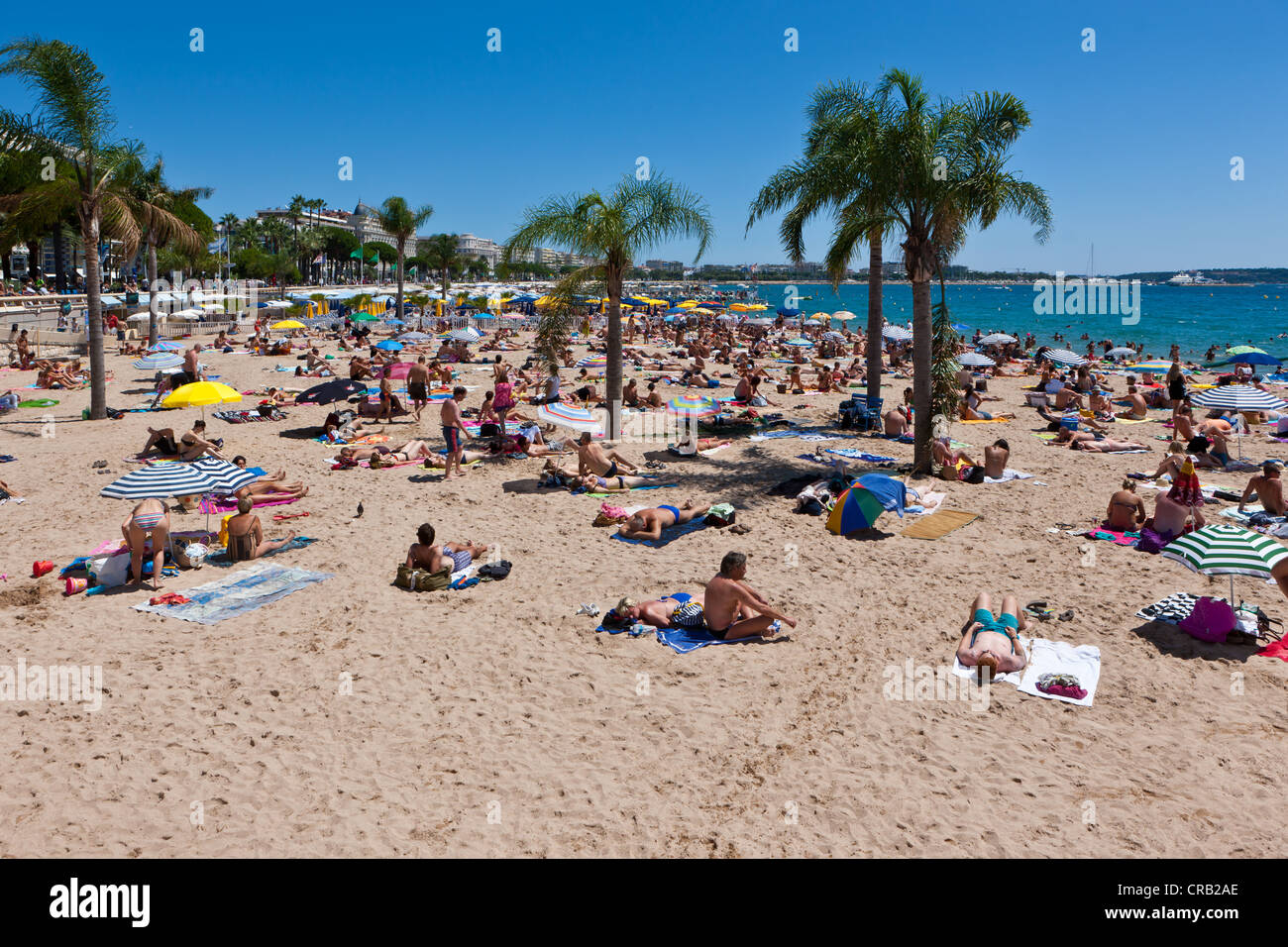 Les gens sur la plage de Cannes, à la Croisette, Côte d'Azur, dans le sud de la France, Europe, PublicGround Banque D'Images