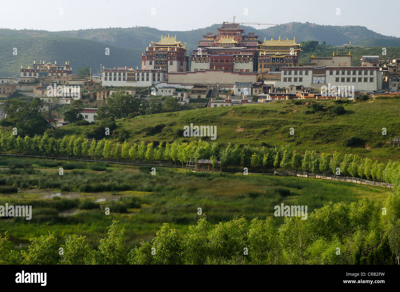 Gelugpa du bouddhisme tibétain le monastère de Ganden Sumtseling, Sungtseling, Gyeltang, Zhongdian, Shangrila, Shangri-la, Yunnan, Tibet Banque D'Images