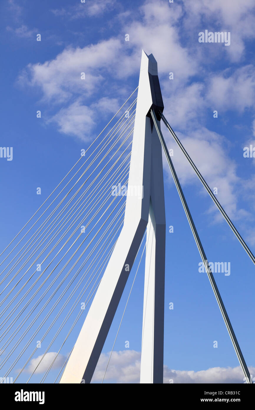 Pont à haubans, pile de pont, des pylônes, le pont Erasmus, Rotterdam, Erasmusbrug, Kop van Zuid, Pays-Bas, Europe Banque D'Images