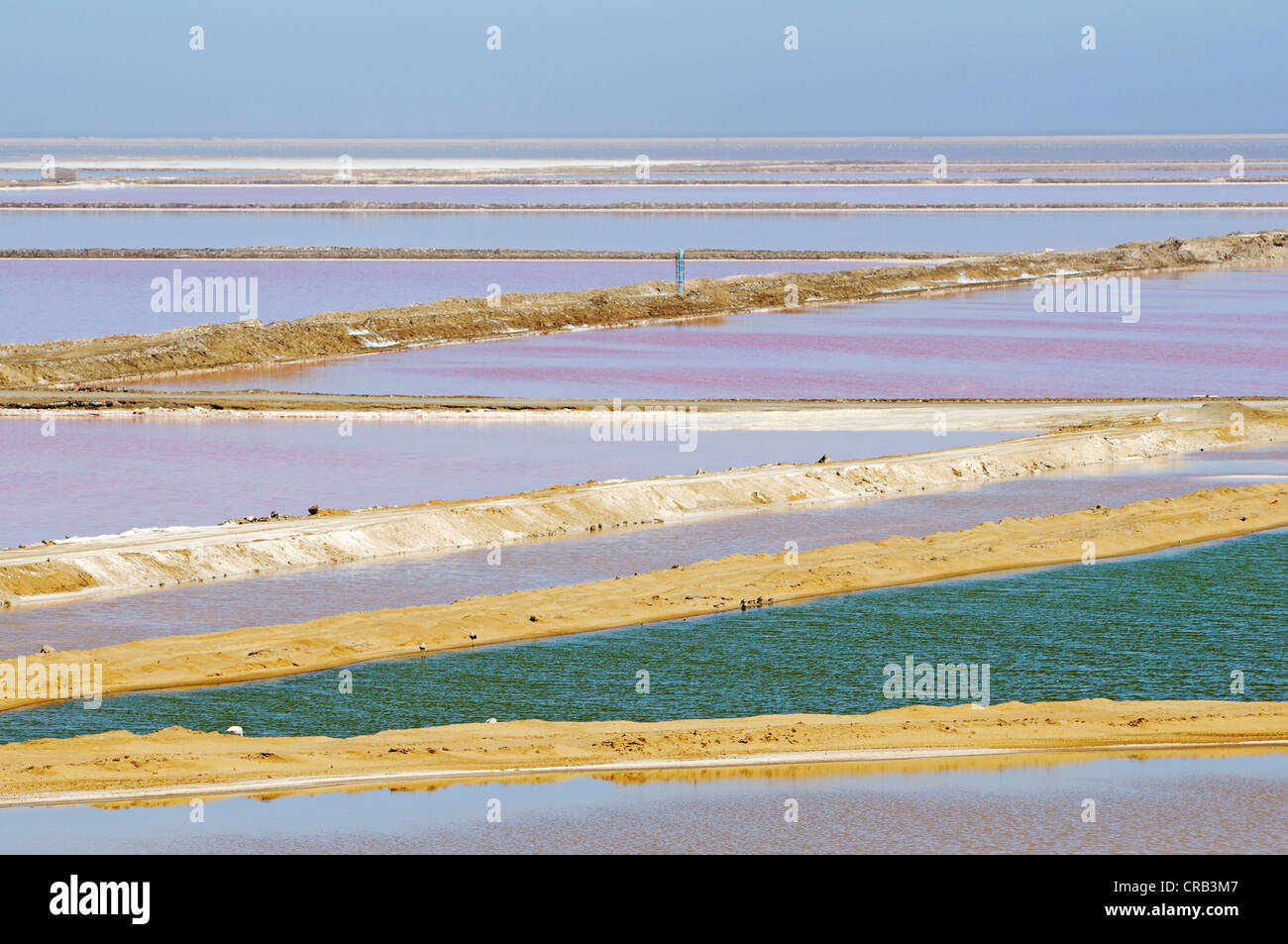 Les bassins d'eau utilisée pour la production de sel dans un marais salant dans le Parc National, partie de la Namibian Skeleton Coast National Park Banque D'Images