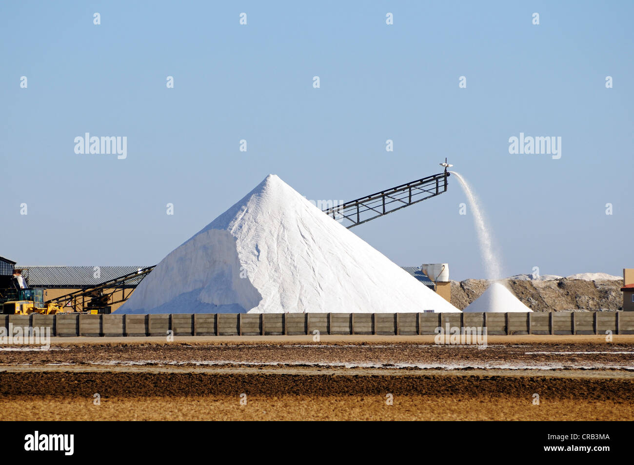 La production de sel dans un marais salant dans le Parc National, partie de la Namibian Skeleton Coast National Park, Skeleton Coast Banque D'Images