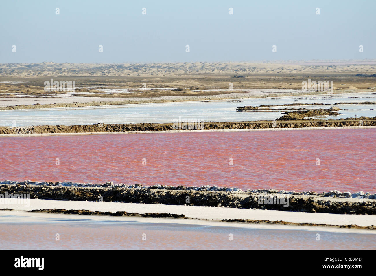 Les bassins d'eau utilisée pour la production de sel dans un marais salant dans le Parc National, partie de la Namibian Skeleton Coast National Park Banque D'Images