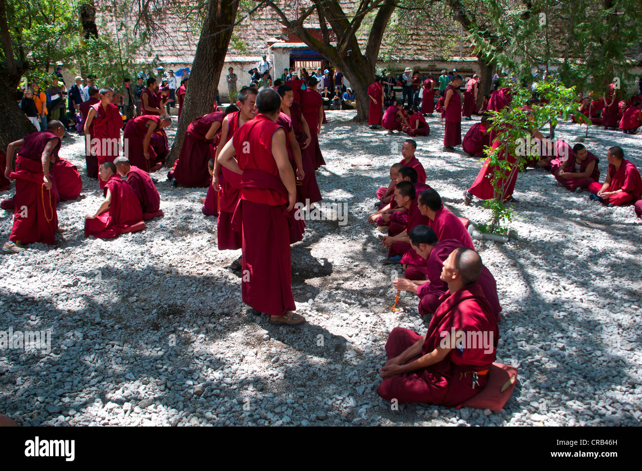 Jeunes moines durant leur discussion quotidienne en ronde Temple Saga, Lhassa, Tibet, Asie Banque D'Images