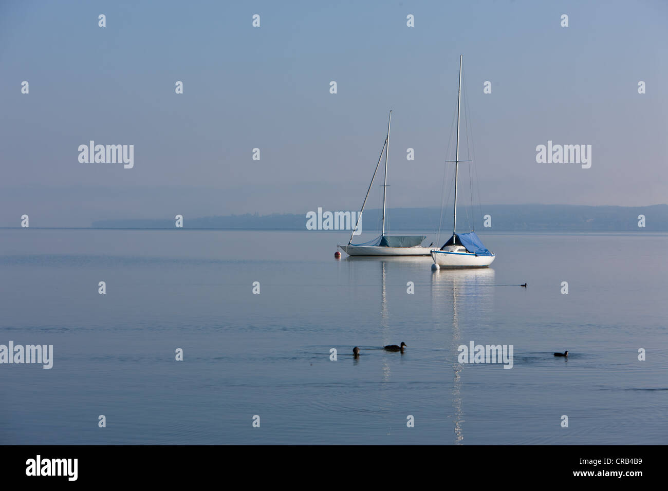 Deux bateaux à voile à la lumière matin brouillard, Diessen am Ammersee, lac Ammer, Bavaria, Germany, Europe Banque D'Images