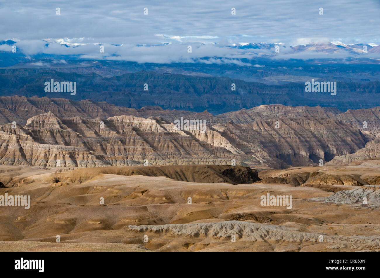 Paysage de boue érodés dans l'ancien royaume de Guge, l'ouest du Tibet, l'Asie Banque D'Images