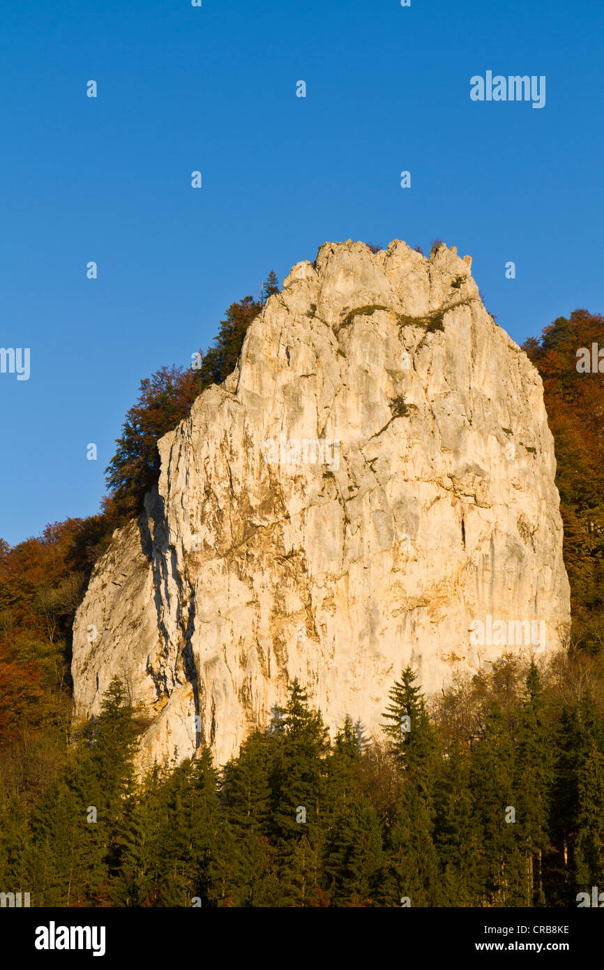 Zuckerhut Fels, le pain de sucre rock, près de Beuron, Parc Naturel du Danube supérieur, la vallée du Danube, district de Sigmaringen Banque D'Images