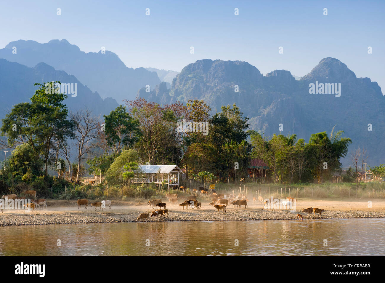 Montagnes de buffles Banque de photographies et d’images à haute ...