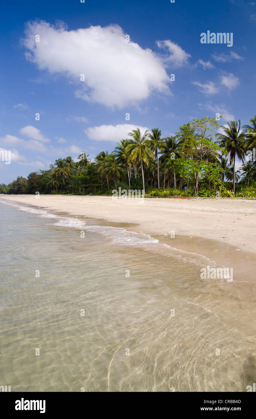 Palm beach Andaman Beach, Ko Jum ou Koh Pu), Krabi, Thaïlande, Asie du Sud-Est Banque D'Images