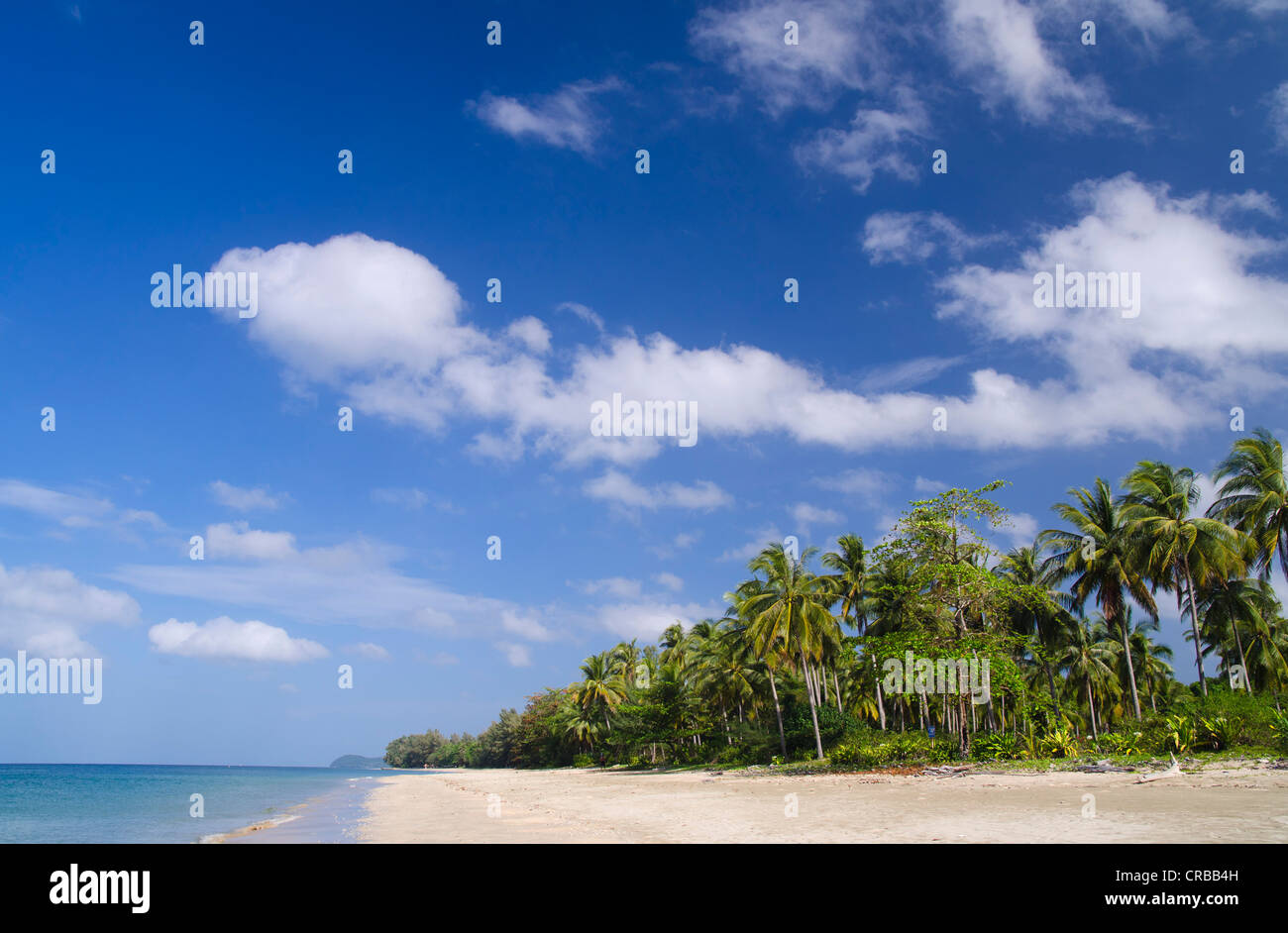 Palm beach Andaman Beach, Ko Jum ou Koh Pu), Krabi, Thaïlande, Asie du Sud-Est Banque D'Images