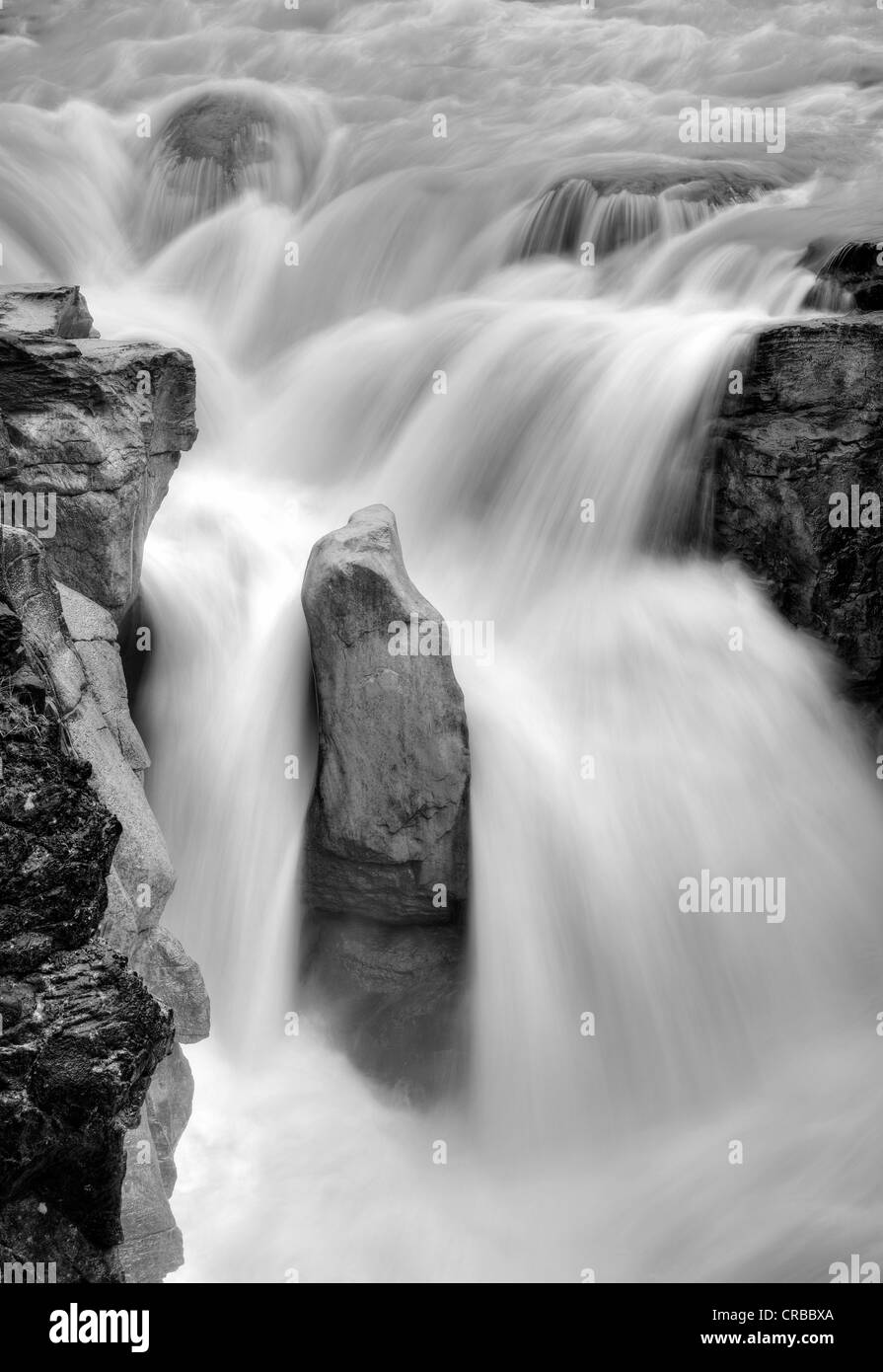 Image en noir et blanc, les chutes Sunwapta, rivière Sunwapta, Parc National Jasper, Rocheuses canadiennes, l'Alberta, Canada Banque D'Images