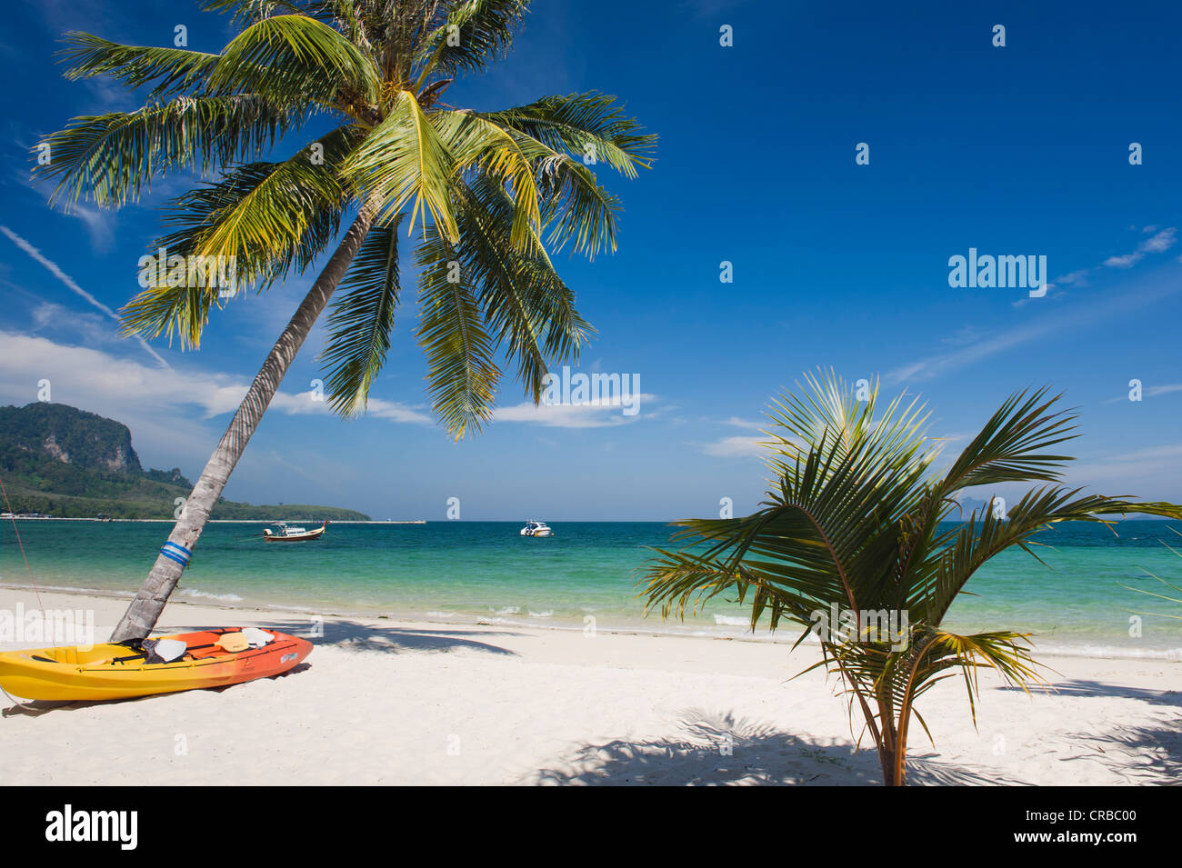 Palm beach, Ko Muk ou Ko Mook island, Thaïlande, Asie du Sud-Est Banque D'Images