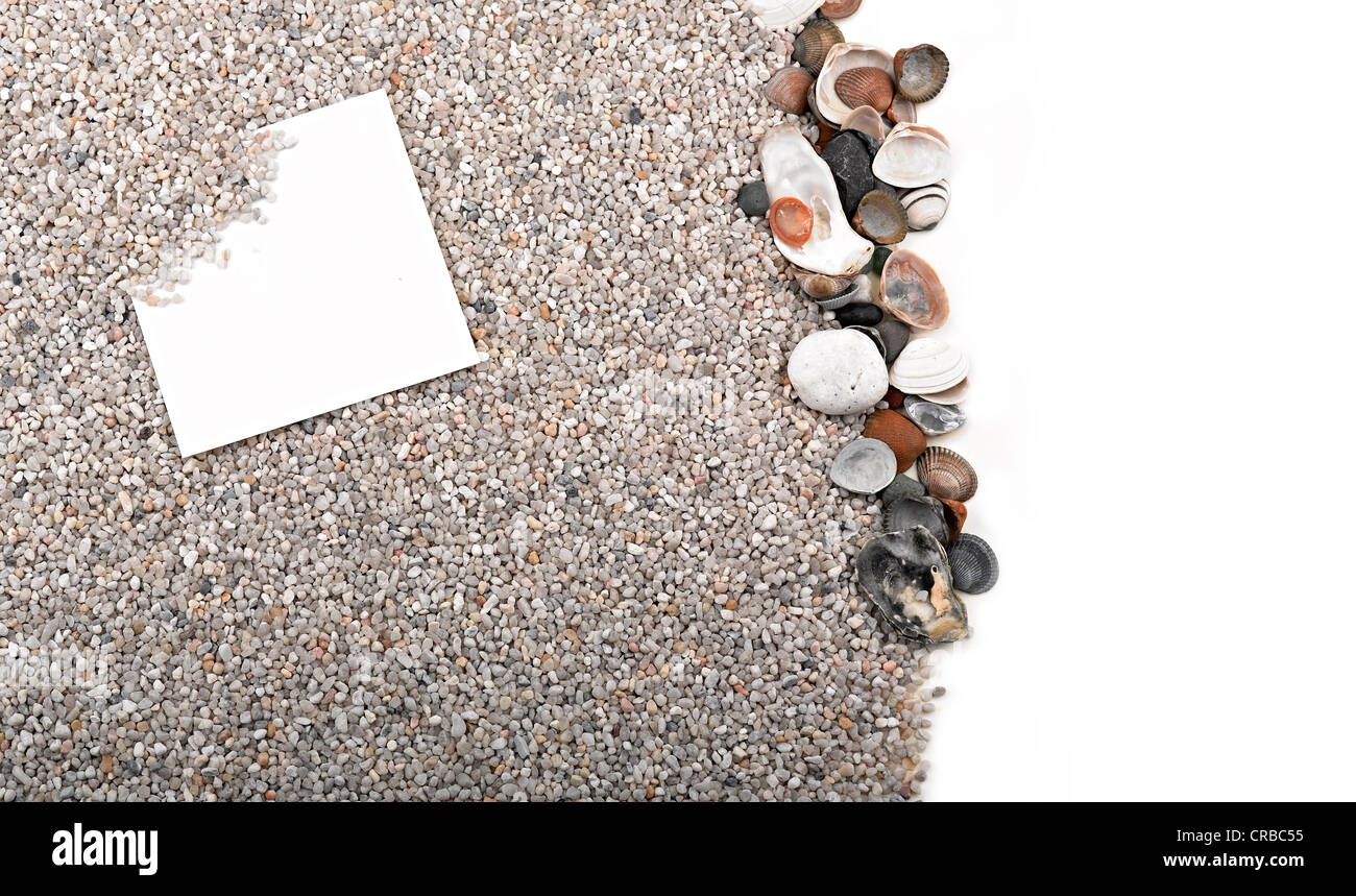 Des coquillages, des étoiles de mer et feuille de papier vierge Banque D'Images