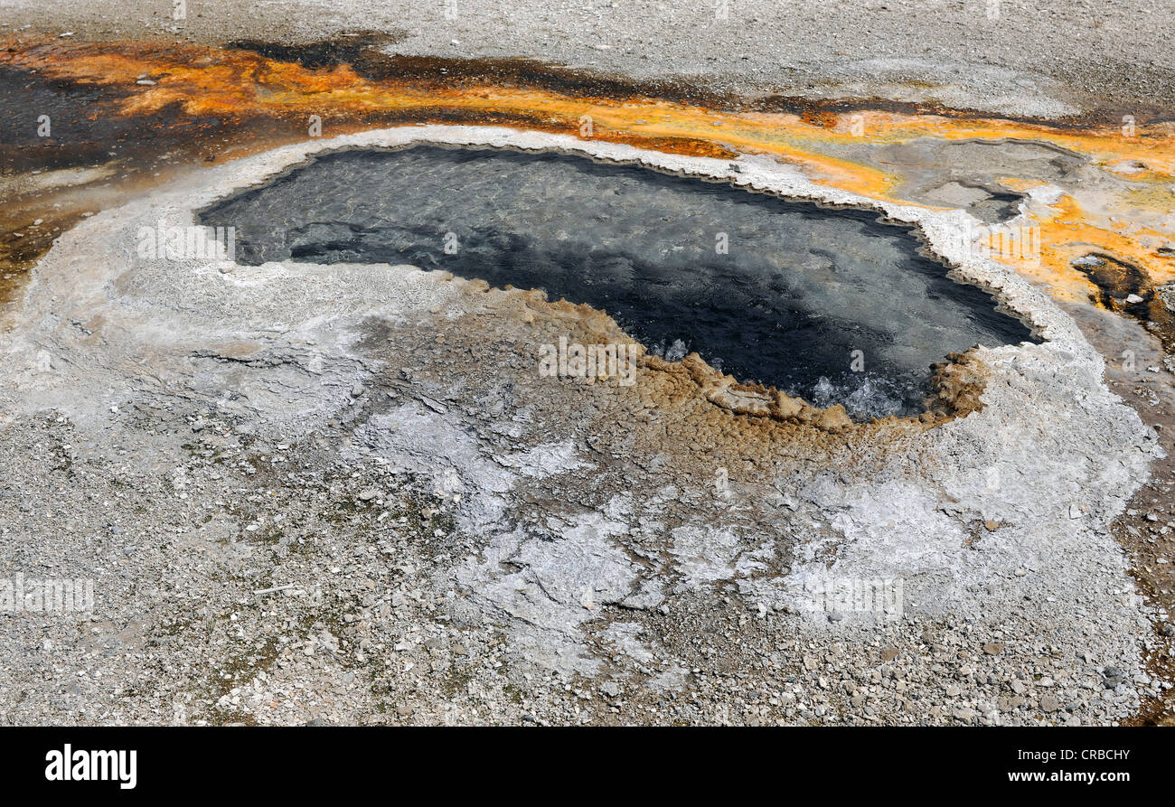 Printemps de l'oreille Geyser, Upper Geyser Basin, geysers, piscines géothermiques, Yellowstone National Park, Wyoming, USA Banque D'Images