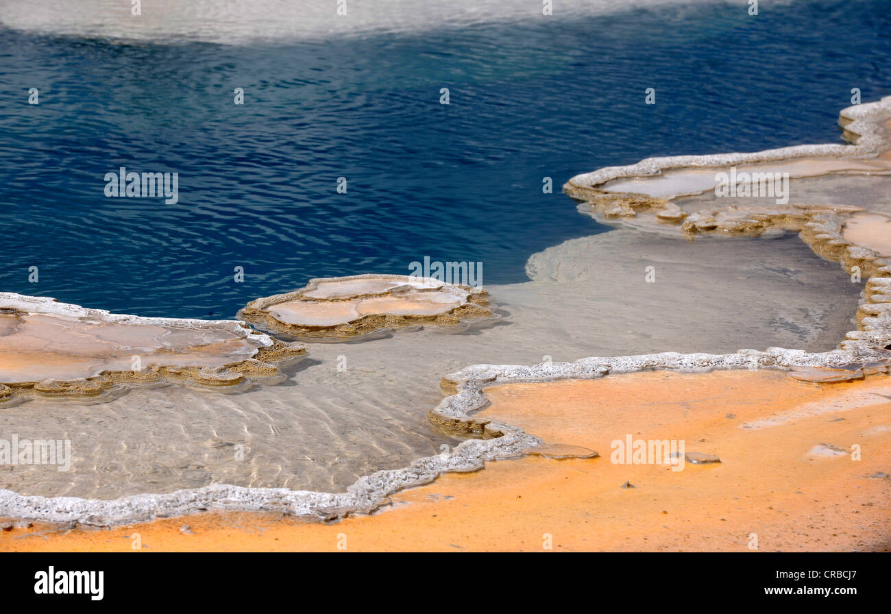 Piscine Doublet Geyser, Upper Geyser Basin, geysers, piscines géothermiques, Yellowstone National Park, Wyoming, USA Banque D'Images