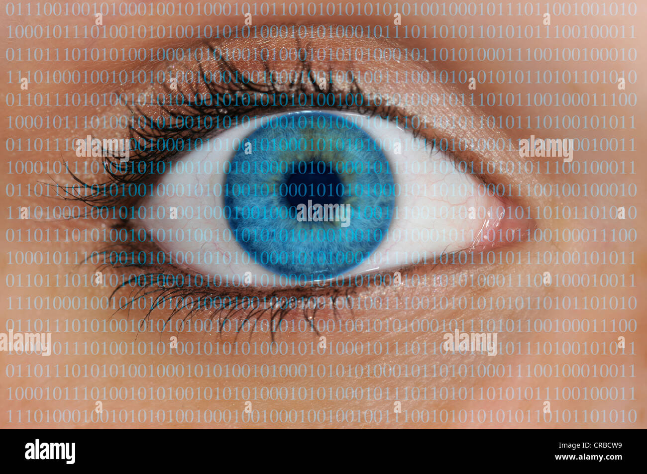 Vue détaillée d'un oeil avec un code à barres qui se reflète sur l'iris, EAN, European Article Number, numéro de l'article International, Banque D'Images