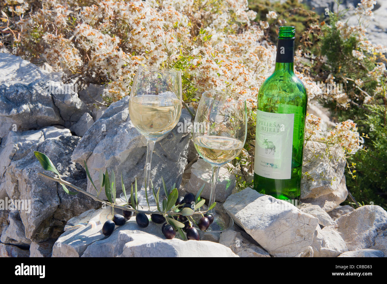 Bouteille de vin blanc et des verres à vin, Novalja, l''île de Pag, Dalmatie, Croatie, Europe Banque D'Images