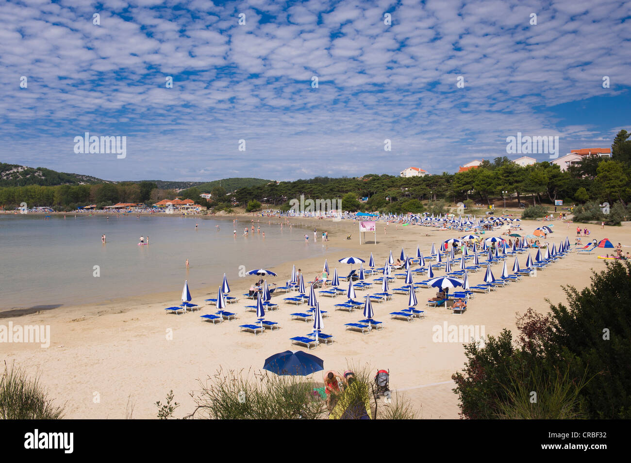 Paradise beach, San Marin, l'île de Rab, golfe de Kvarner, Croatie, Europe Banque D'Images