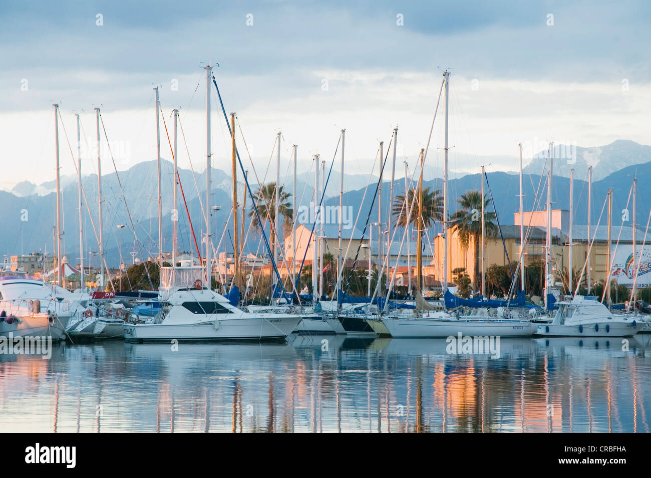 Bateaux dans le port de plaisance, Viareggio, Toscane, Italie, Europe Banque D'Images