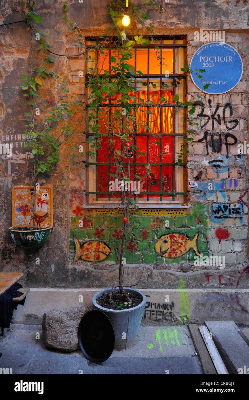 Fenêtre dans la cour, Haus Schwarzenberg, culture club, marché Hackescher, Café Central, graffiti, Mitte, Berlin Banque D'Images
