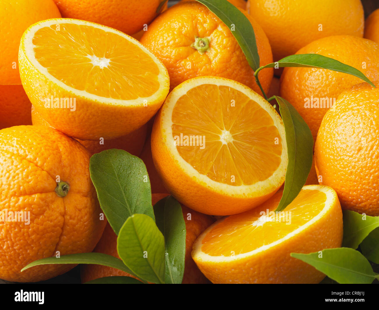 Close up of sliced oranges Banque D'Images