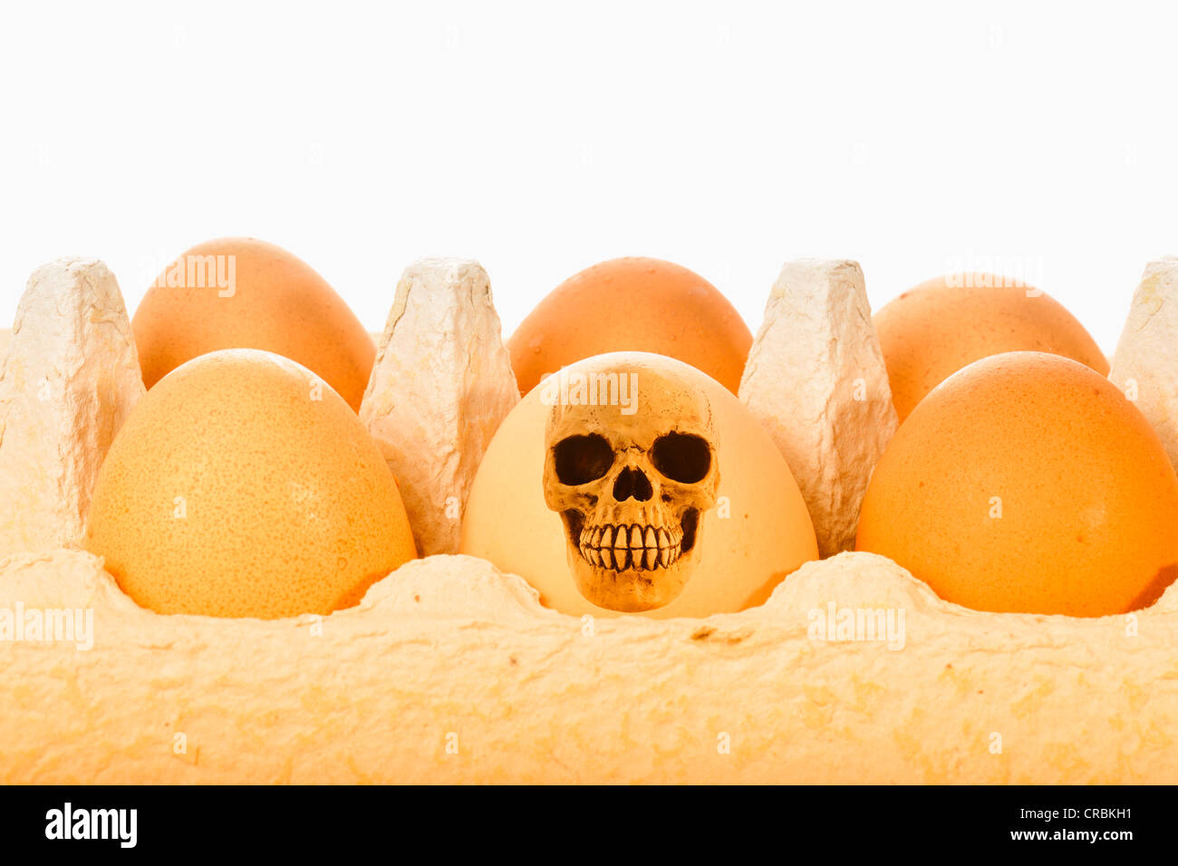 Crâne, oeuf, image symbolique d'aliments contaminés, la contamination par la dioxine, scandale de l'alimentation animale Banque D'Images