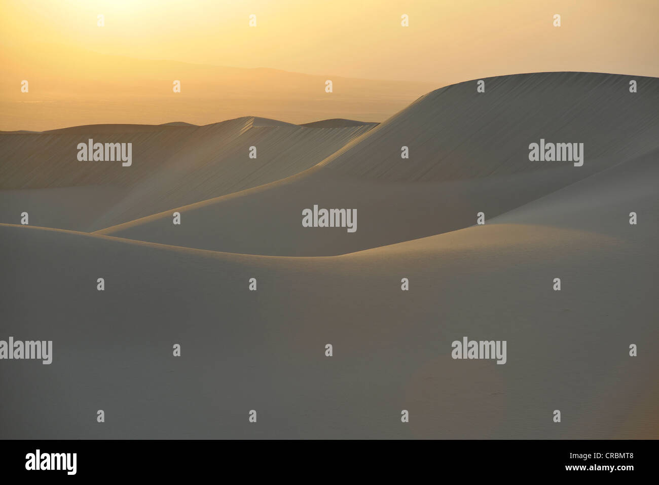 Télévision Mesquite Sand Dunes, tôt le matin au lever du soleil, lumière Stovepipe Wells, Death Valley National Park, désert de Mojave, Californie Banque D'Images