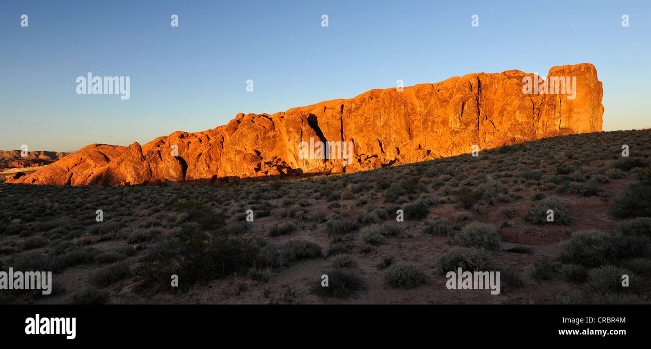 Mammoth rock formation, Vallée de Feu Park, Nevada, United States of America, USA Banque D'Images