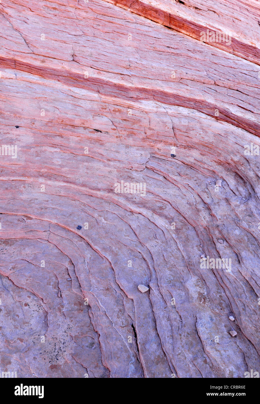 Close-up of Fire Wave rock formation, vague de bagués et des rochers de grès érodées Aztec, Vallée de Feu Park, Nevada Banque D'Images