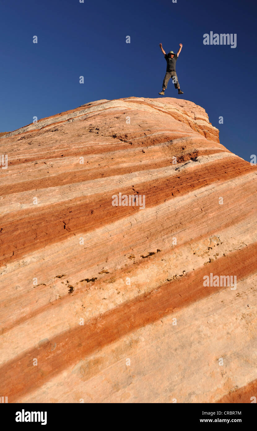 Touriste, saut, Fire Wave rock formation, vague de bagués et des rochers de grès érodées Aztec, Vallée de Feu Park, Nevada Banque D'Images