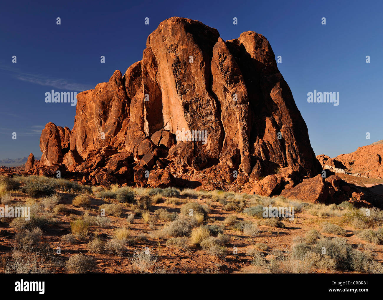 Mammoth rock formation, Vallée de Feu Park, Nevada, United States of America, USA Banque D'Images
