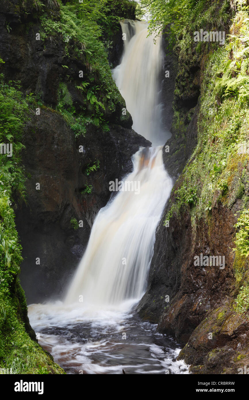 Cascade, rivière Glenariff, Glenariff Forest Park, Glenariff, Les Glens d'Antrim, dans le comté d'Antrim, , Royaume-Uni, Europe Banque D'Images