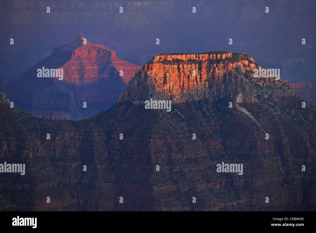 Vue de Bright Angel Point, dernière lumière du jour sur Deva Temple, Temple de Thor, le Walhalla Plateau, l'humeur du soir Banque D'Images