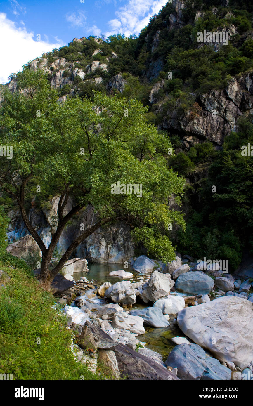 Provence, Alpes, Côte d'Azur, la rivière Roya, Vacances, tourisme, Banque D'Images