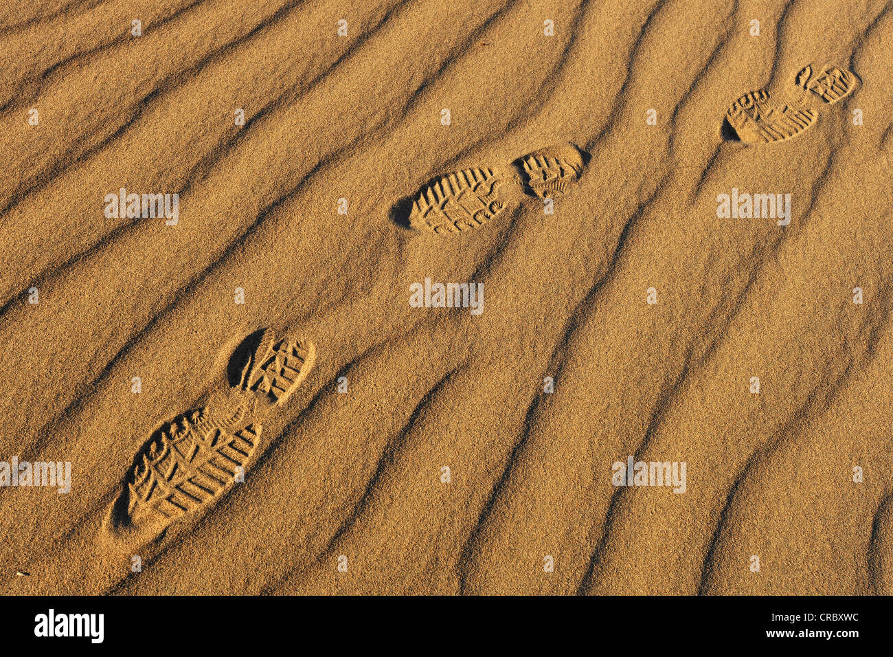 Des empreintes de pas dans les sables de la télévision Mesquite Sand Dunes, Stovepipe Wells, Death Valley National Park, désert de Mojave, Californie Banque D'Images
