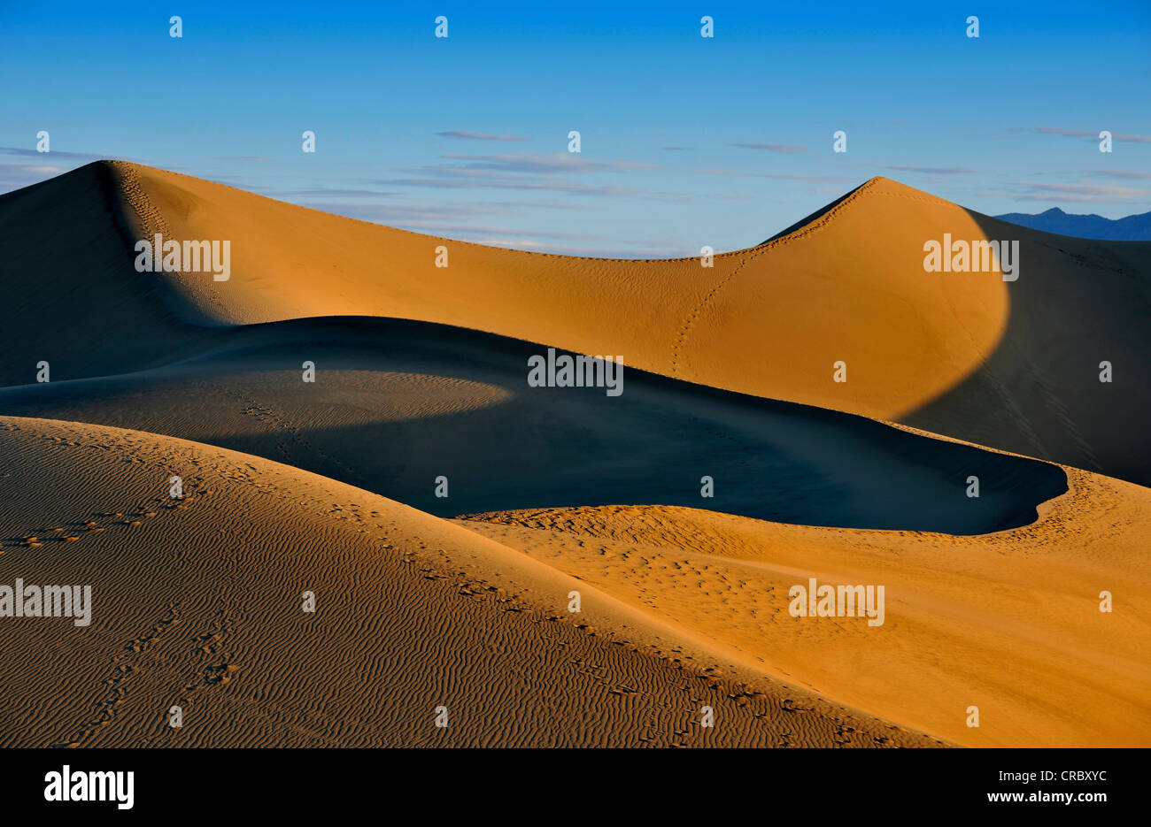 Télévision Mesquite Sand Dunes, early morning light, Stovepipe Wells, Death Valley National Park, désert de Mojave, Californie Banque D'Images