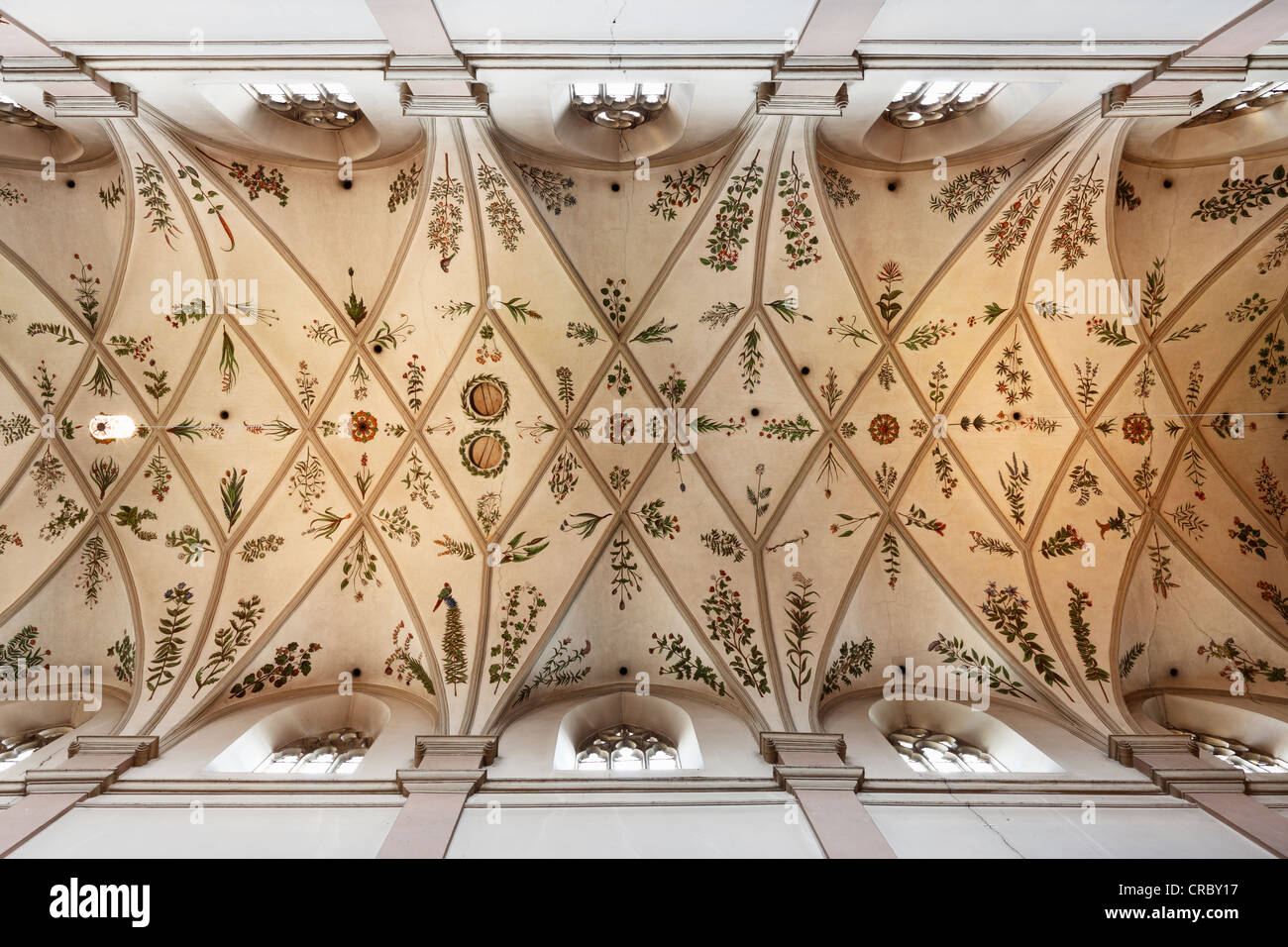 Sur le plafond d'herbier, Église de Saint Michel, l'abbaye de Michaelsberg, Bamberg, Haute-Franconie, Franconia Banque D'Images